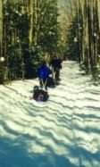 Hikers Pulling Sleds - 37K