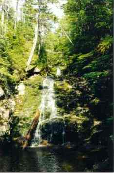 Babbling Waterfall