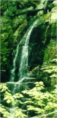 Coosauk Falls - Click to Enlarge