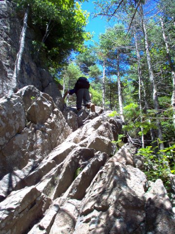 Mt. Osceola Hike