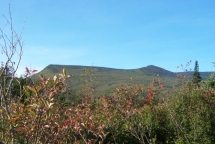 Mt. Tom and Mt. Field